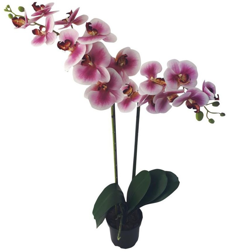 Storczyk sztuczny w doniczce 80 cm 2 pędy