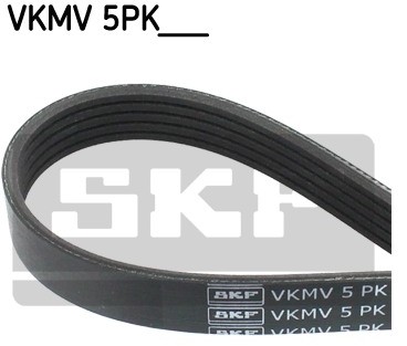 SKF Pasek klinowy wielorowkowy VKMV 5PK1121 VKMV 5PK1121