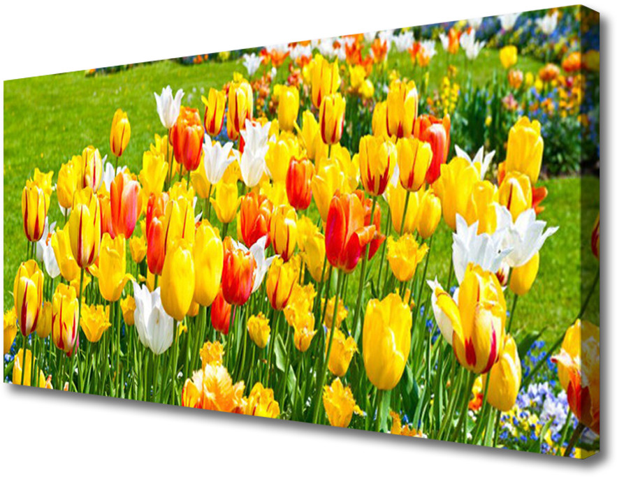 PL Tulup Obraz Canvas Tulipany Kwiaty Natura 140x70cm