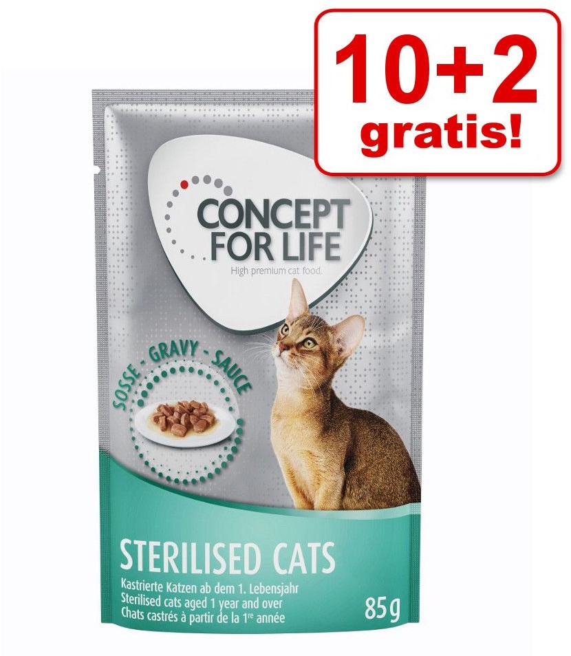 Concept for Life Concept for Life British Shorthair Adult, ragout - 24 x 85 g