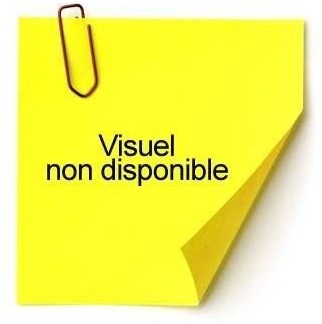 Exacompta Teczka prezentacyjna A4 100 koszulki sortowane 85100E