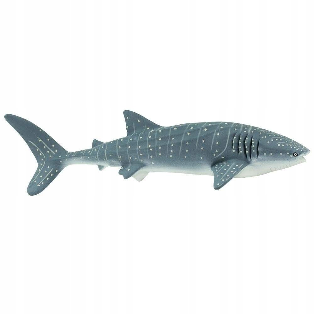 Safari Rekin Wielorybi - Whale Shark Ltd. 210602