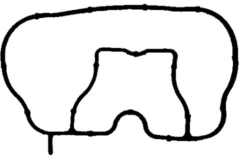 ELRING Uszczelka, kolektor dolotowy ELRING 025.250