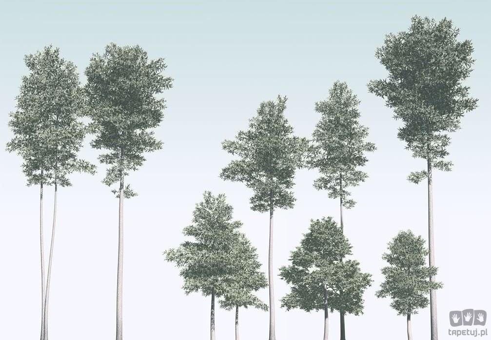 Komar Fototapeta Pines R4-040 R4-040