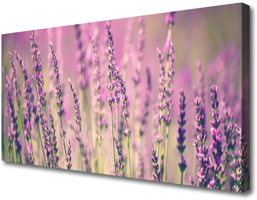 PL Tulup Obraz Canvas Kwiaty Roślina Natura 120x60cm