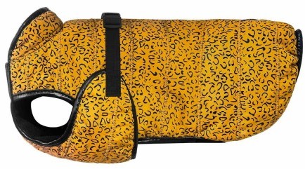 Chaba Kubrak TOKYO 5 - mustard