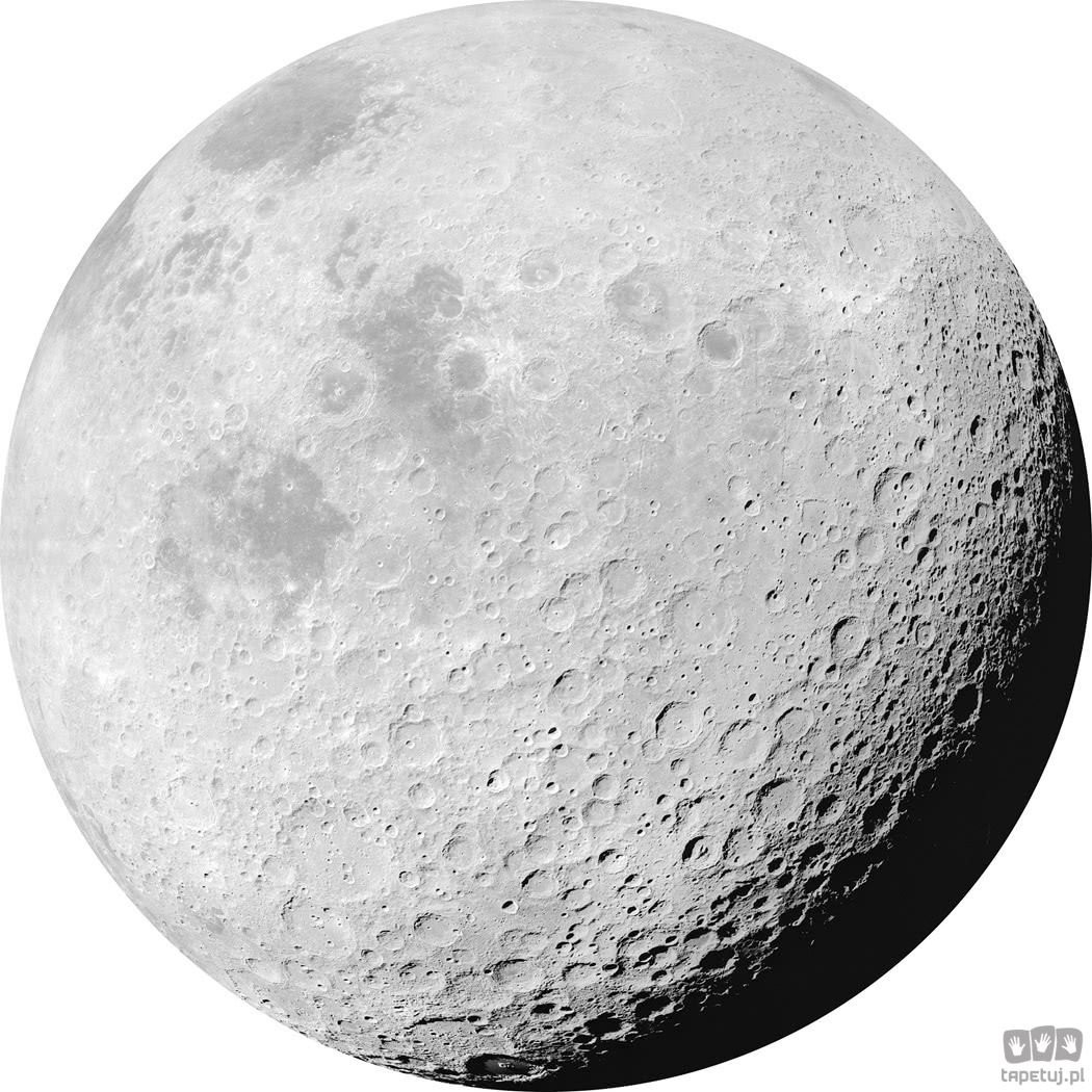 Komar Fototapeta Luna D1-020 D1-020