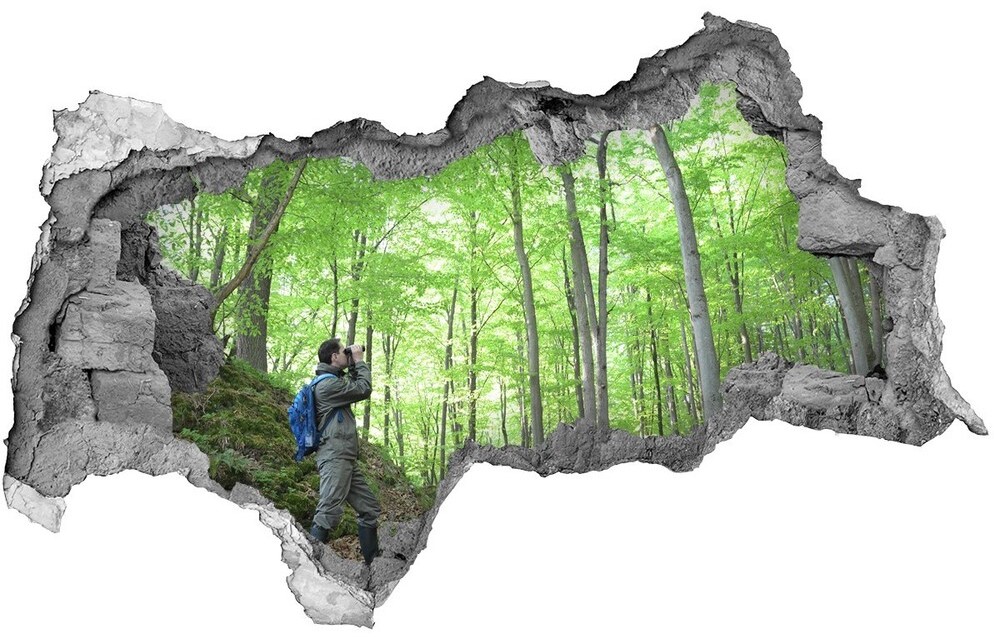 Wallmuralia.pl Fototapeta dziura na ścianę Ornitolog w lesie