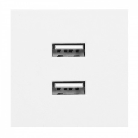 NOEN USB x 2, podwójny port modułowy 45x45mm z ładowarką USB, 2,1A 5V DC, biały OR-GM-9010/W/USBX2