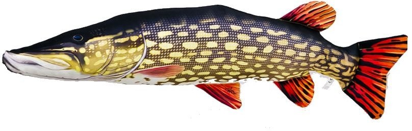 Gaby pluszak ryba zabawka poduszka Szczupak 110cm