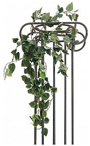 Europalms EUROPALMS Krzew Philo klasyczny, sztuczny, 60 cm 82502204