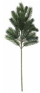 Europalms Europalms Fir branch, PE, 65cm, Sztuczna roślina 83500420