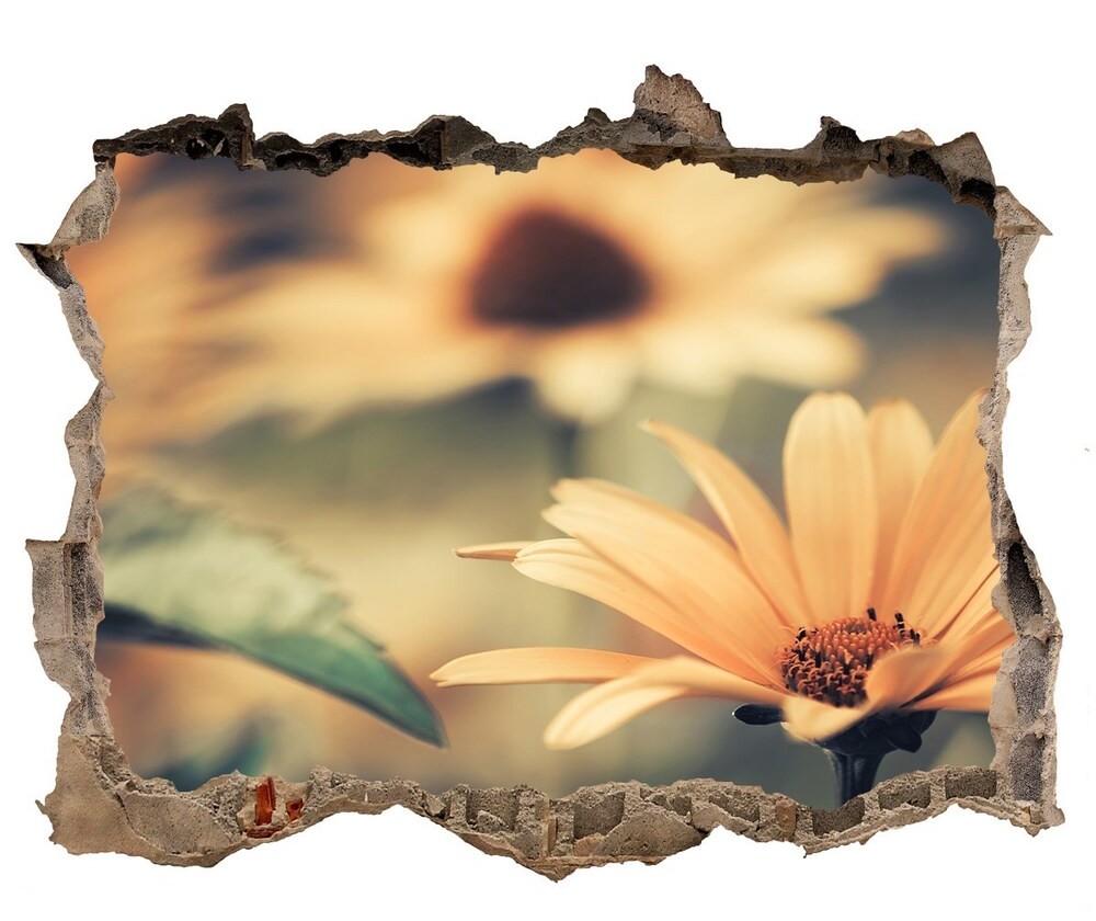 Wallmuralia.pl Samoprzylepna dziura na ścianę Wiosenny kwiat