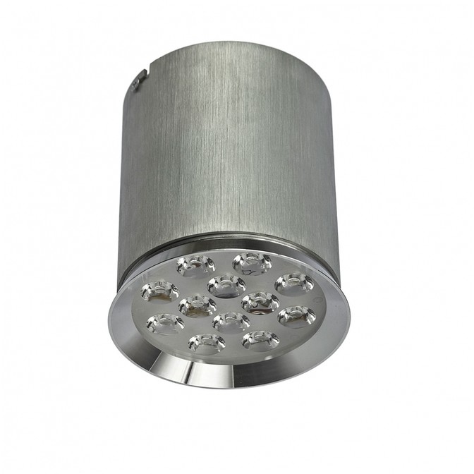 SpectrumLED Chloe 12led 230v 12w Ip20 60st Ww Sufitowe SLI032001WW_60ST