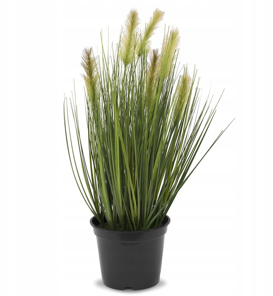 Sztuczna Trawa Z Kłosami W Doniczce 55cm ROŚLINA50