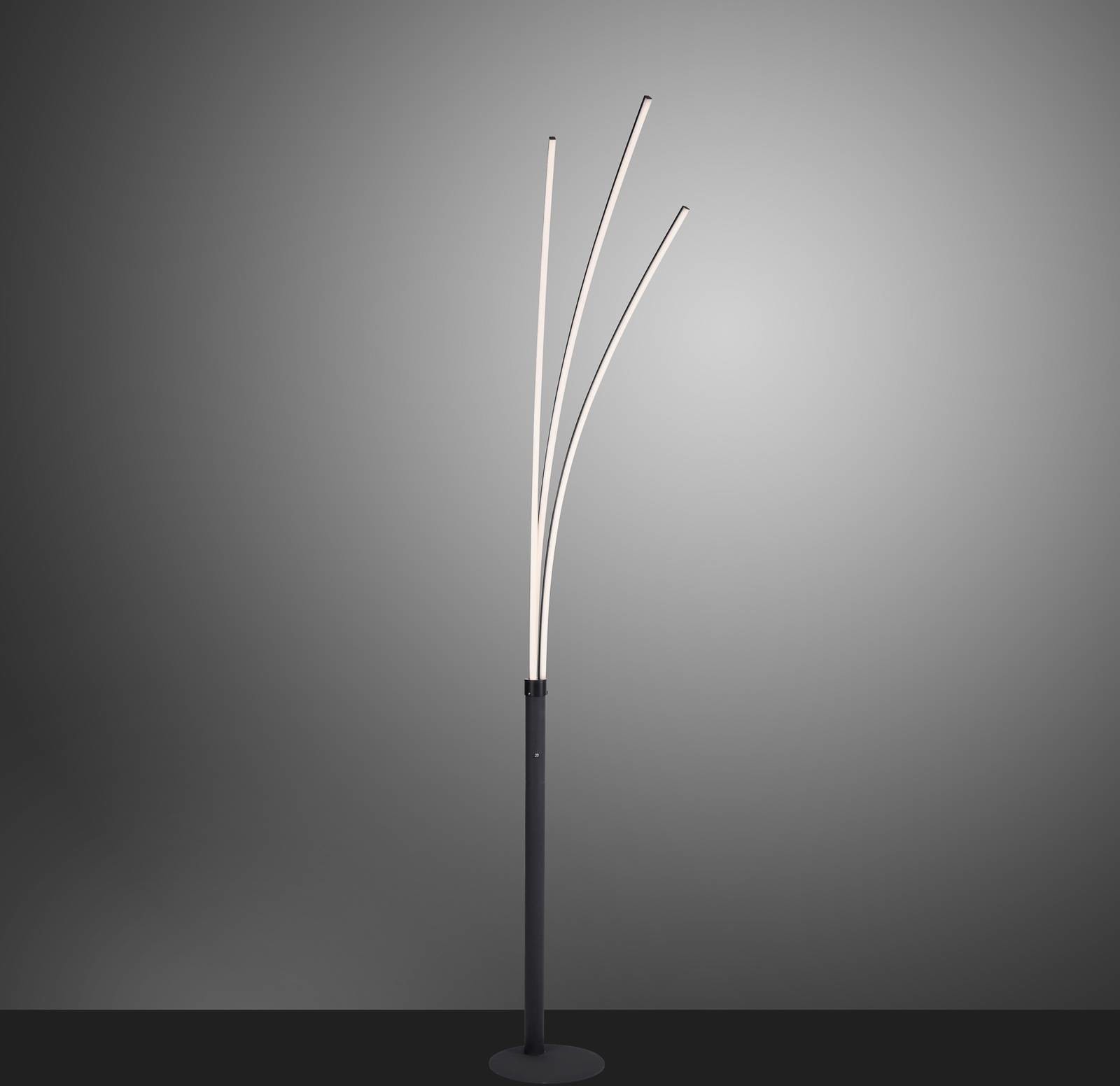 Leuchten Direkt Lampa stojąca LED Maja, 3-punktowa, czarna