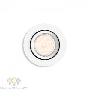 Philips DONEGAL 50391/31/PN WBUDWANY REFLEKTOR OCZKO NOWOŚĆ