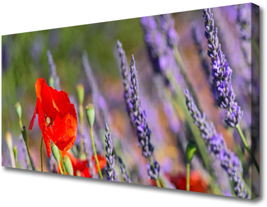 PL Tulup Obraz na Płótnie Kwiaty Roślina 140x70cm