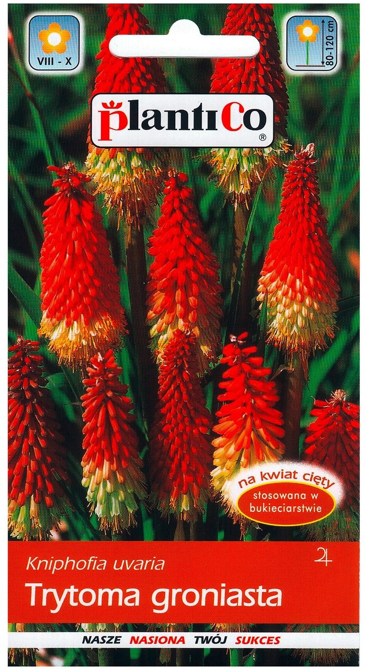 Plantico Trytoma groniasta