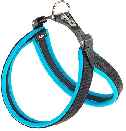Ferplast Agila Neon 4 psów, naczyń niebieska 44 cm x 52 cm X 20 MM