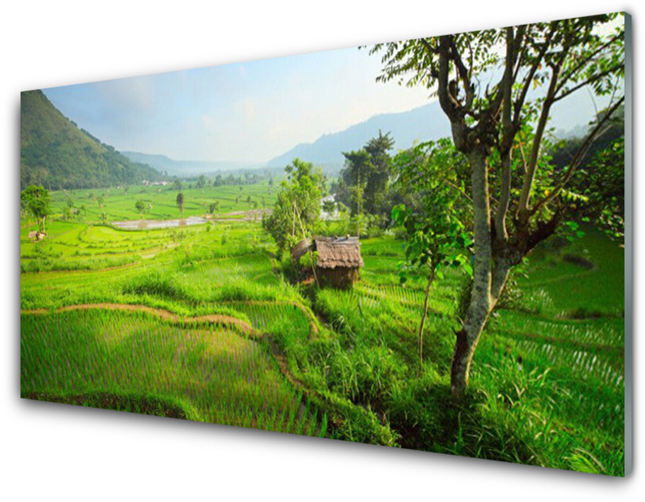 Tulup.pl Panel Kuchenny Łąka Natura 100x50cm