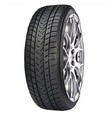 Gripmax Status Pro Winter 265/35R20 99V