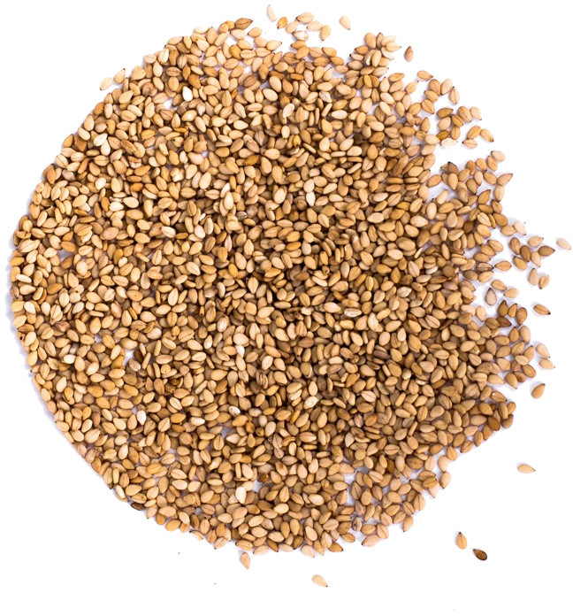 Planteon Sezam prażony 10kg 2-0036-05-7