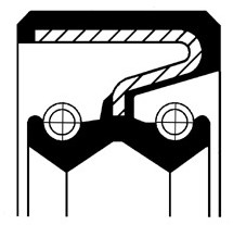 CORTECO Pierścień uszczelniający wału, wał skrzyni biegów CORTECO 12000745B