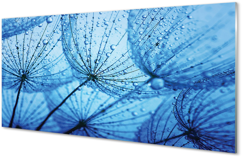 Tulup.pl Szklany Panel Krople dmuchawce makro 140x70cm