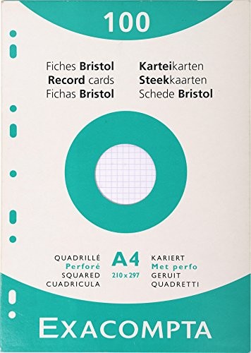 Exacompta 13304e opakowanie z 100 fiszek 210/297 z otworami w kratkę 13606E
