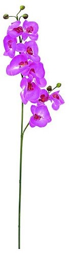 Europalms Euro Palms 82530322 orchidea gałązka z pąkami, 100 cm, fioletowa 82530322