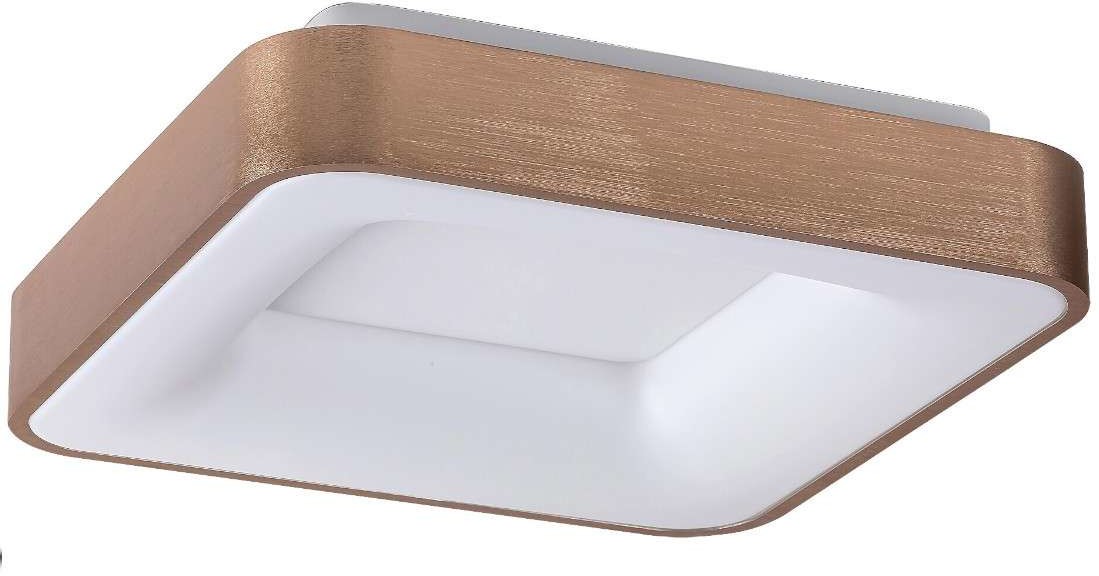 Rabalux 5057 - LED Plafon CARMELA LED/50W/230V