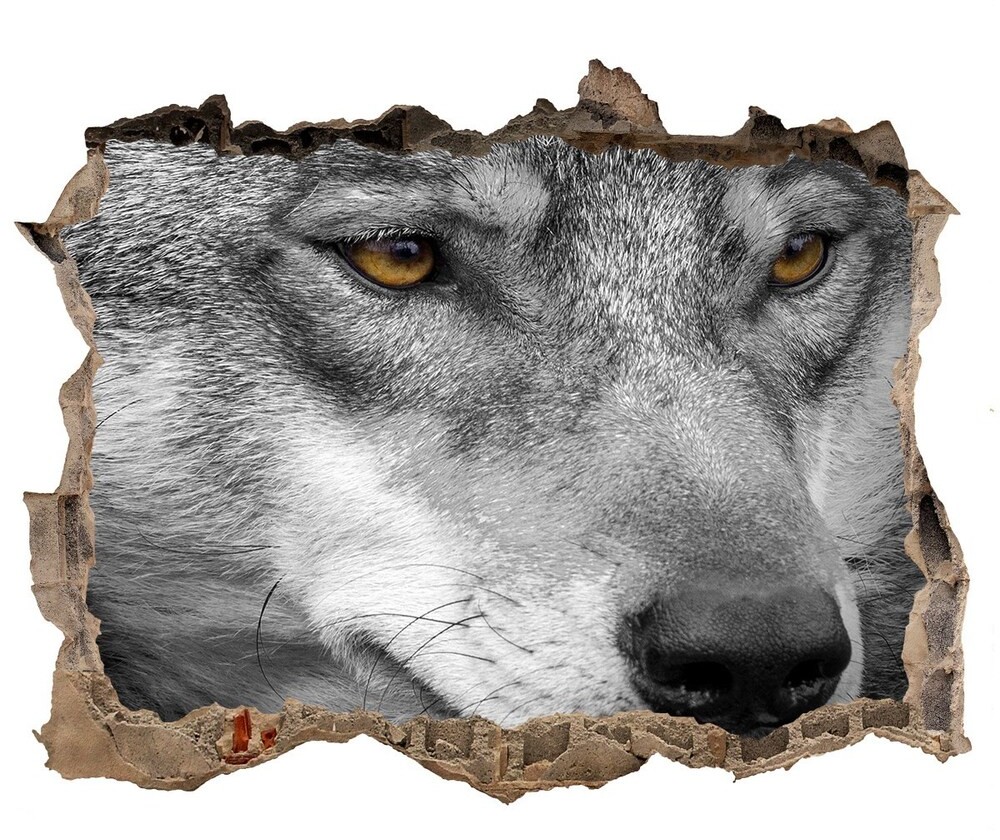 Wallmuralia.pl Dziura 3d fototapeta na ścianę naklejka Wilk