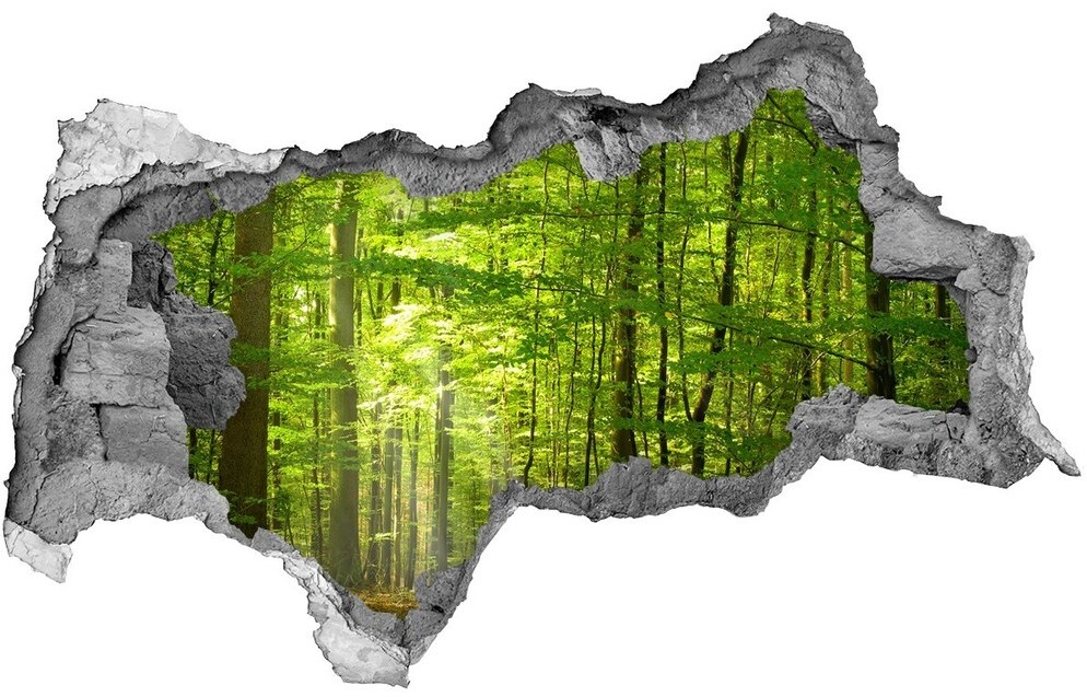 Wallmuralia.pl Dziura 3d w ścianie na ścianę Liściasty las