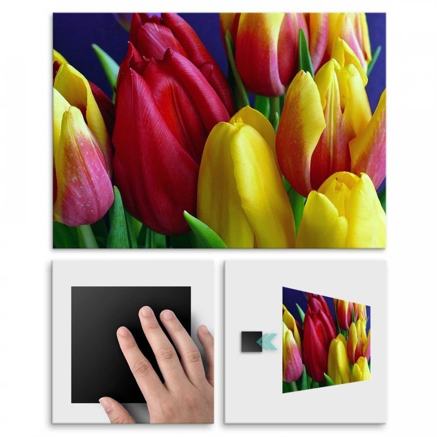 Pix4home Plakat metalowy tulipany L POS-L-01422