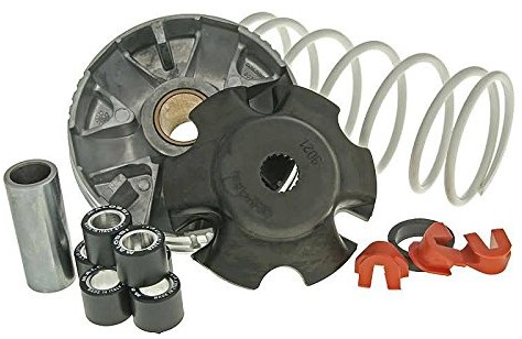 MALOSSI Variator Malossi Multivar 2000 Piaggio Zip 4T 50cc, Liberty 4T 50cc, sprężyna dociskowa: biała, waga: 19x15,5mm - 6,10g 4051272071355