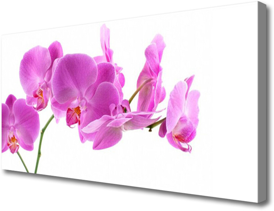 PL Tulup Obraz na Płótnie Kwiaty Roślina Natura 120x60cm