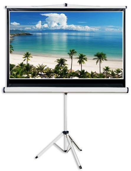 Aveli Aveli 265x149cm (XRT-00088)