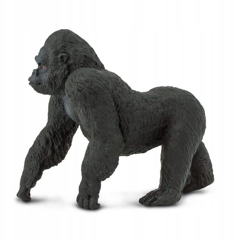 Safari Goryl Nizinny - Ltd. - 282829