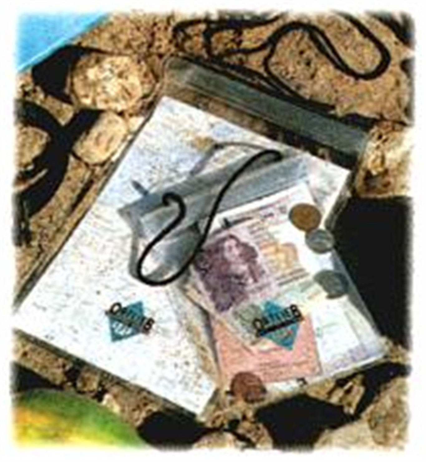 Ortlieb Torebka Document Bag bezbarwny / Rozmiar: A6 D01