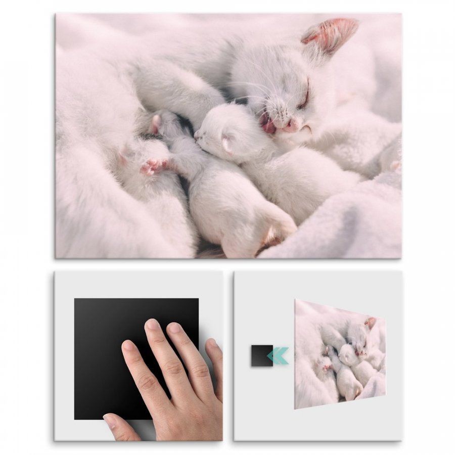 Pix4home Plakat metalowy kocia mama z dziećmi L POS-L-01748