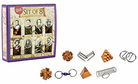Professor PUZZLE Great Minds Set of 8 Puzzle Compendium (4 Wooden, 4 Metal) GM1439