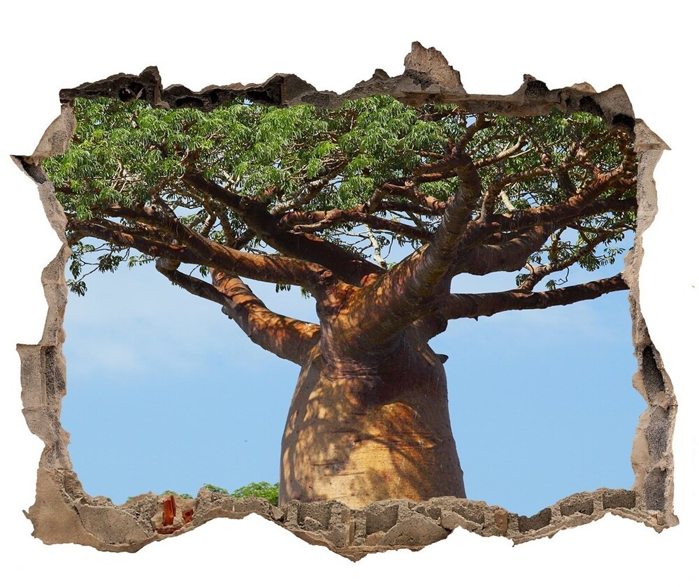 Wallmuralia.pl Samoprzylepna dziura na ścianę naklejka Baobab