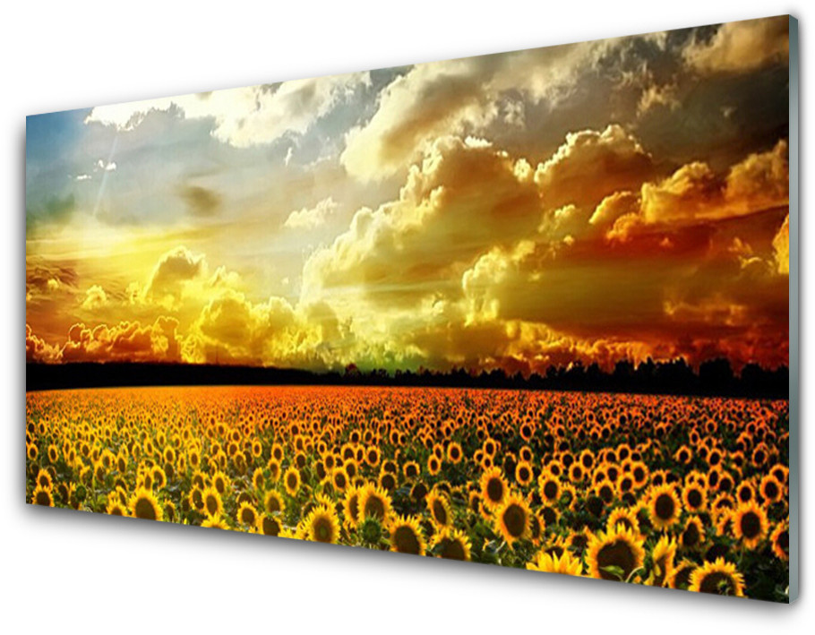 Tulup.pl Panel Szklany Pole Słoneczników Krajobraz 100x50cm