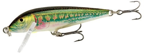 Rapala Countdown Sinking 70 MN CD07