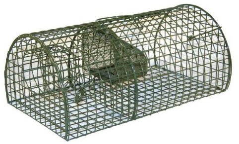 Kerbl KERBL 299620 szczurach Wymiary snów multirat, półokrągły, długość 40 cm