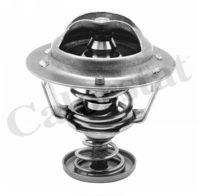 CALORSTAT Termostat, środek chłodzący CALORSTAT TH6295.82J