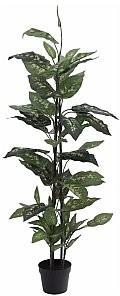 Europalms EUROPALMS Dieffenbachia, sztuczna roślina, 120cm 82508306