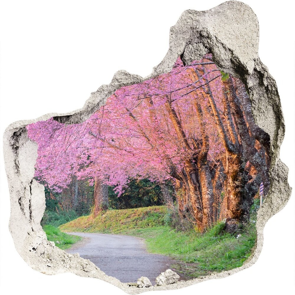 Wallmuralia.pl naklejka fototapeta 3D widok Kwiaty wiśni