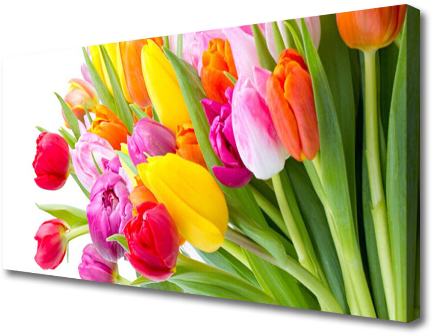 PL Tulup Obraz Canvas Tulipany Kwiaty Roślina 120x60cm